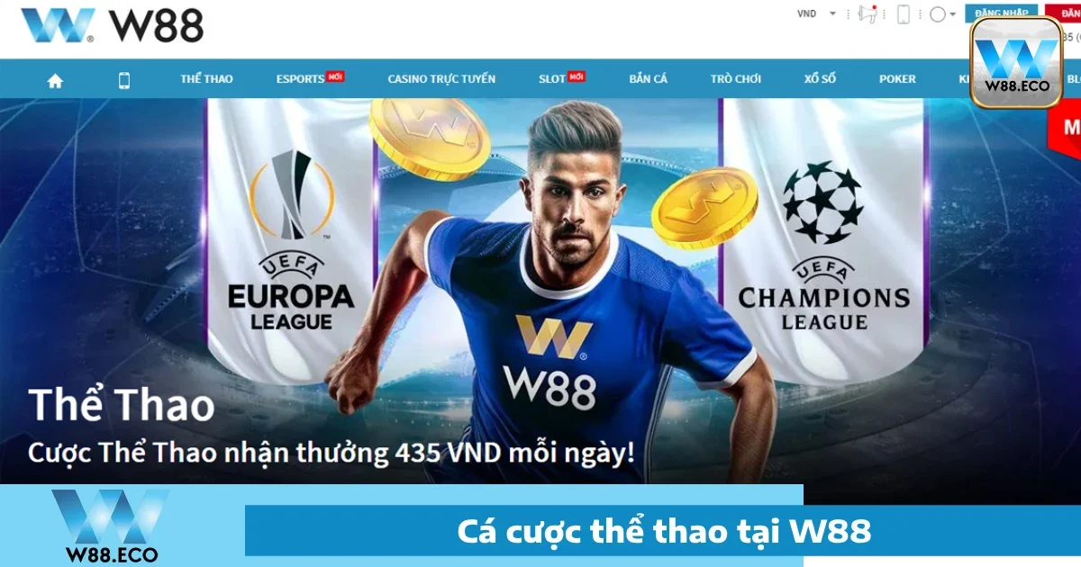 Thể Thao W88 4 Ưu đãi đặc biệt tại Thể thao W88
